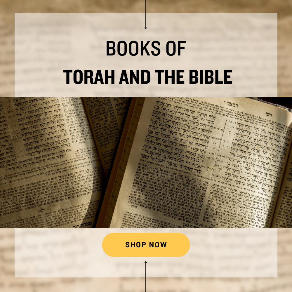 Bibles & Torahs