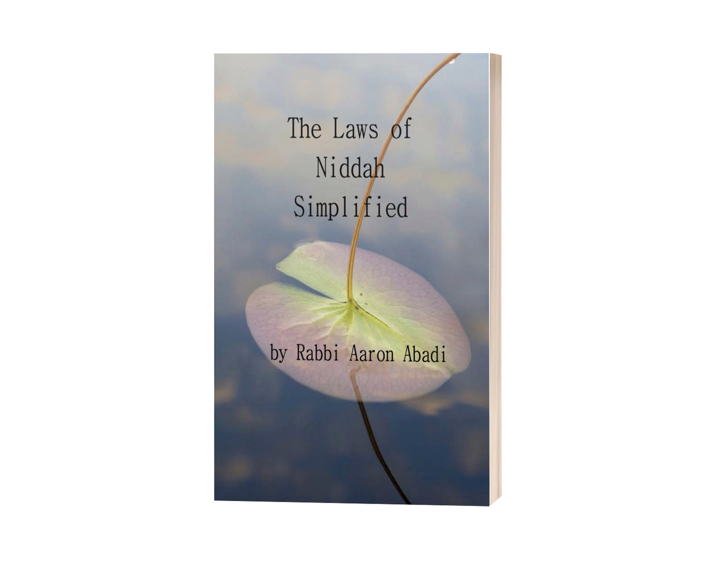 Laws of Niddah Simplified (Free Download)