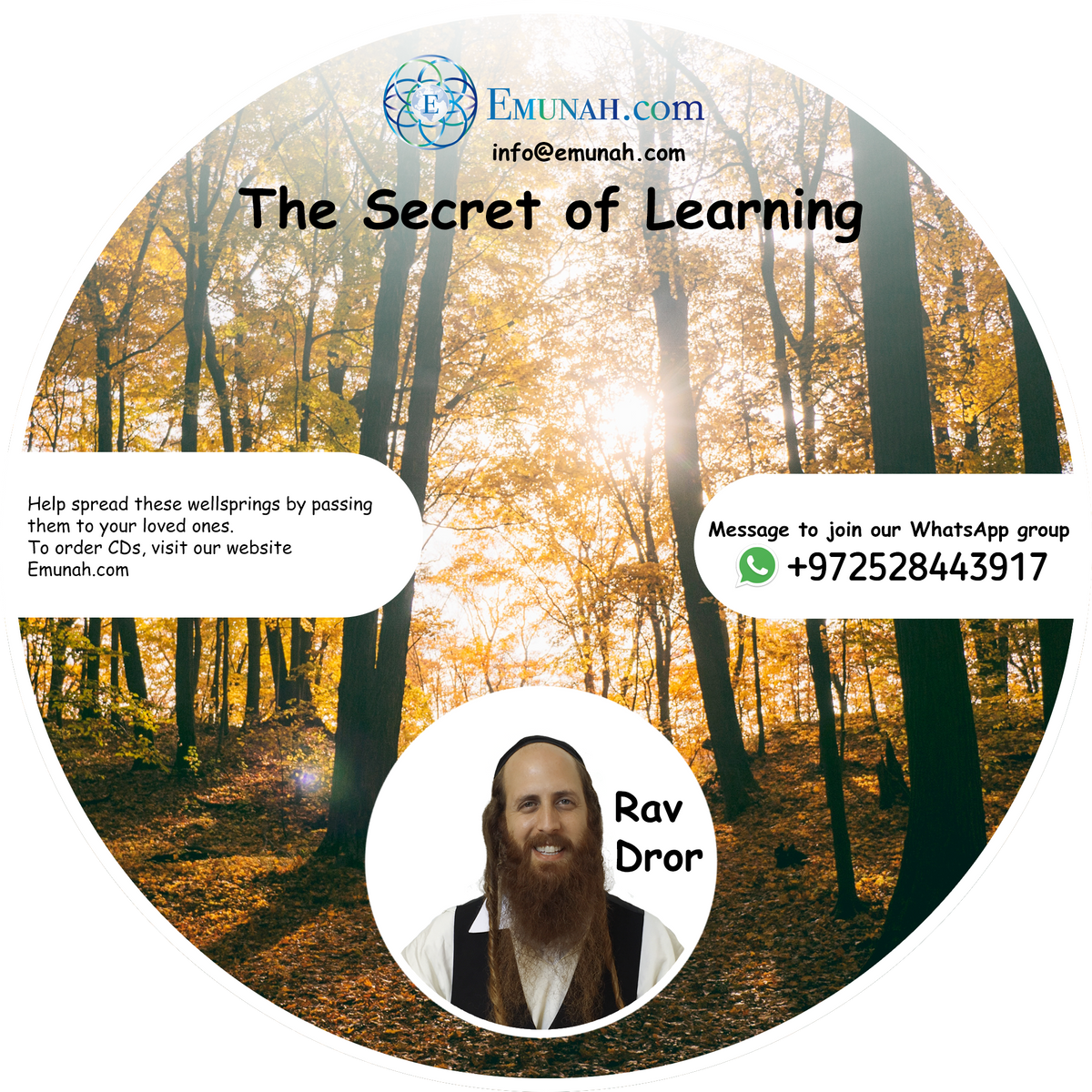 The Secret of Learning