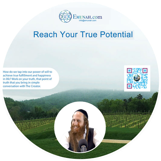 Reach Your True Potential (MP3 Download)