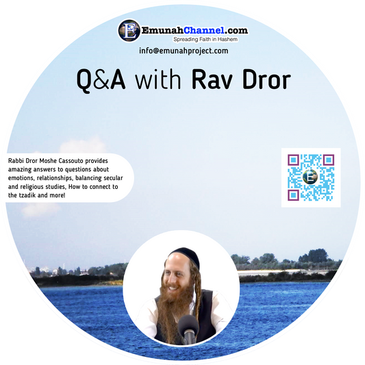 Q&A with Rav Dror (MP3 Download)