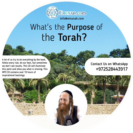 What's the Purpose of the Torah