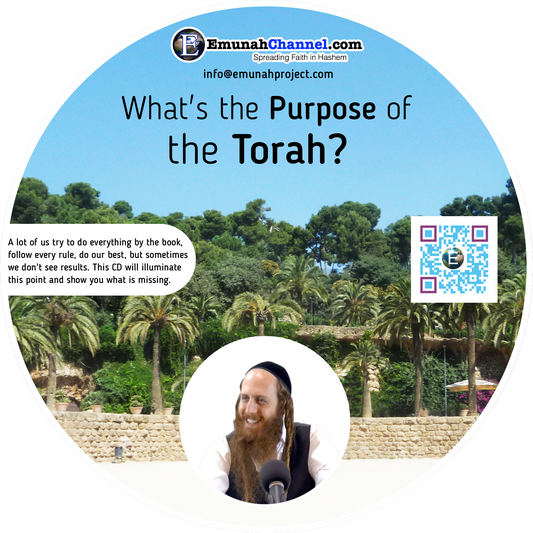 What's the purpose of the Torah? (MP3 Download)