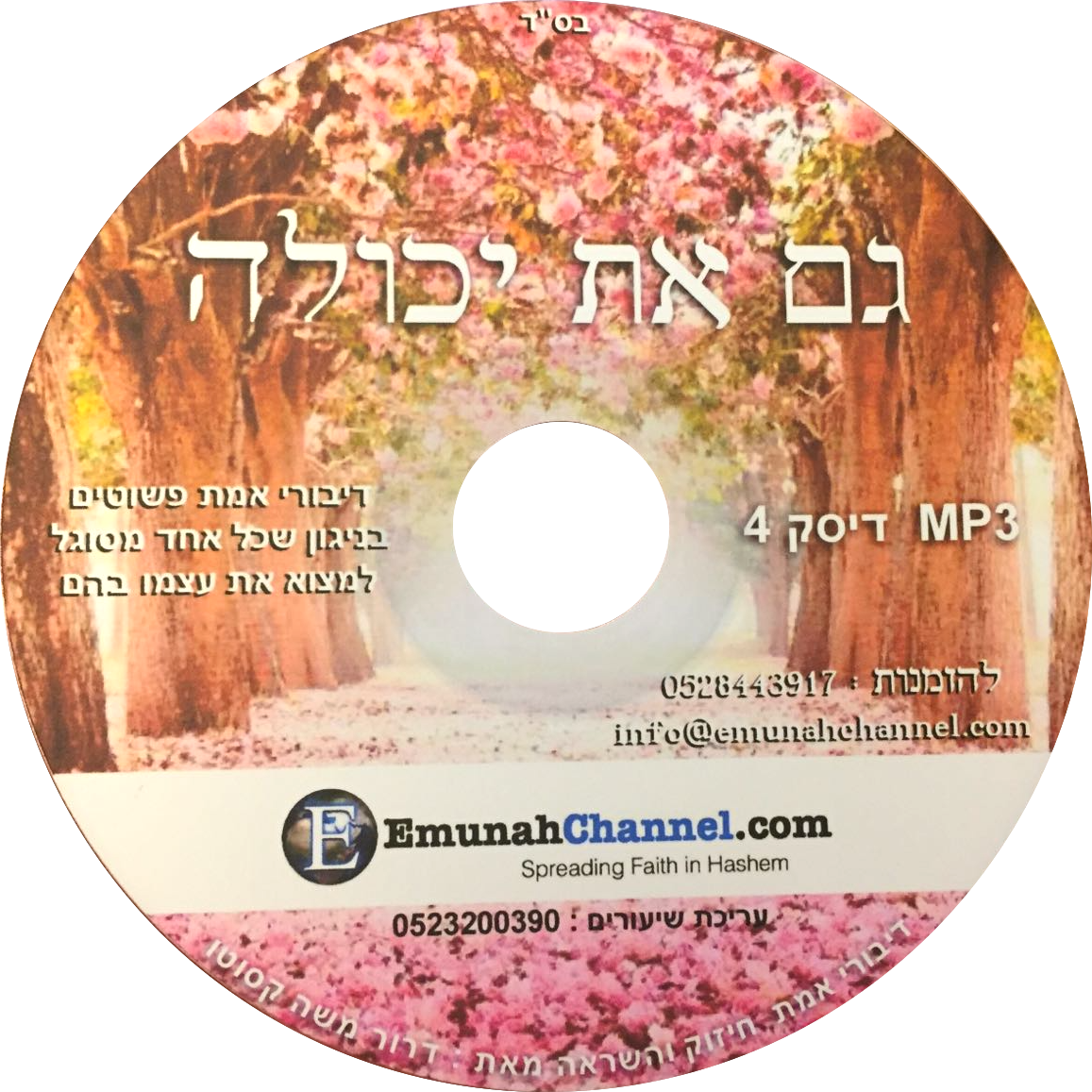 You Can Do It (Hebrew CD for women)