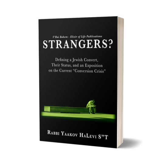 Strangers?: Defining a Jewish Convert, Their Status, and an Exposition on the Current "Conversion Crisis" (Jewish Wisdom Series)